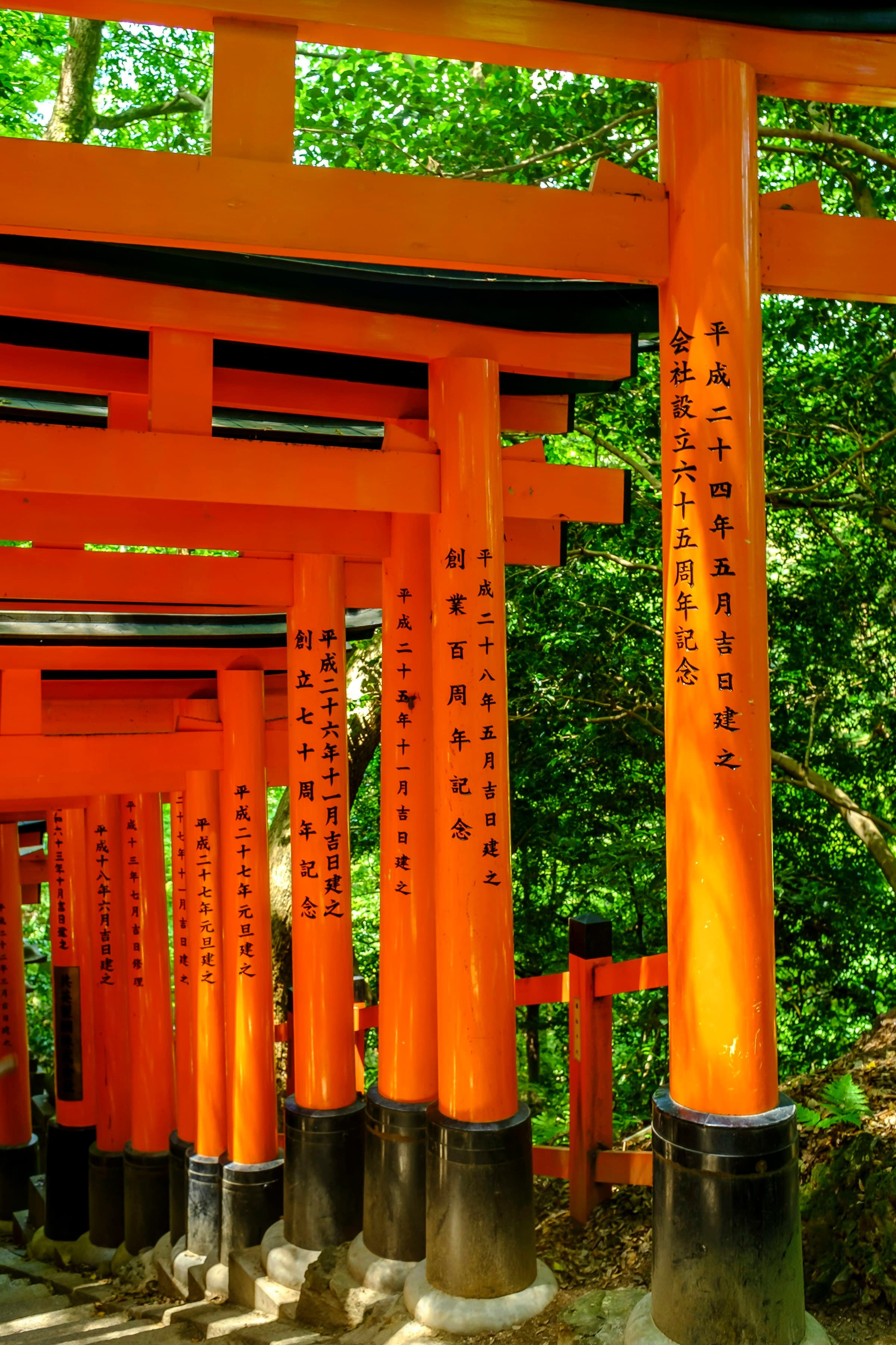 A tunnel of vermilion torii gates at Fushimi Inari shrine, Kyoto
